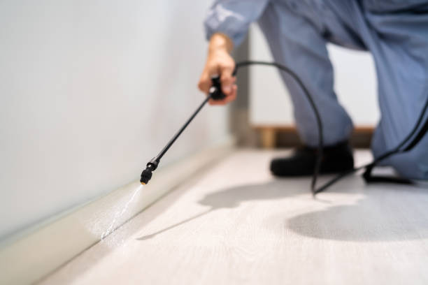 Licensed Cockroach Control service in Evanston, IL - Nex Pest Control