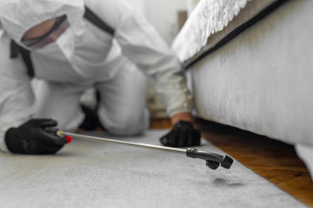 Professional Cockroach Control technician working in Evanston, IL