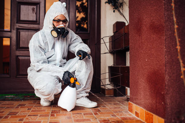 Reliable Cockroach Control contractor in Evanston, IL by Nex Pest Control